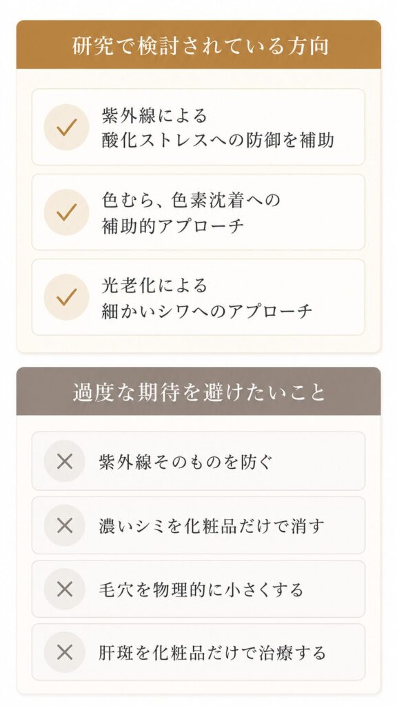 ビタミンCは、紫外線そのものを防ぐ日焼け止めでも、肝斑を治療する医薬品でもない。期待する役割の範囲を分けて考える必要がある。